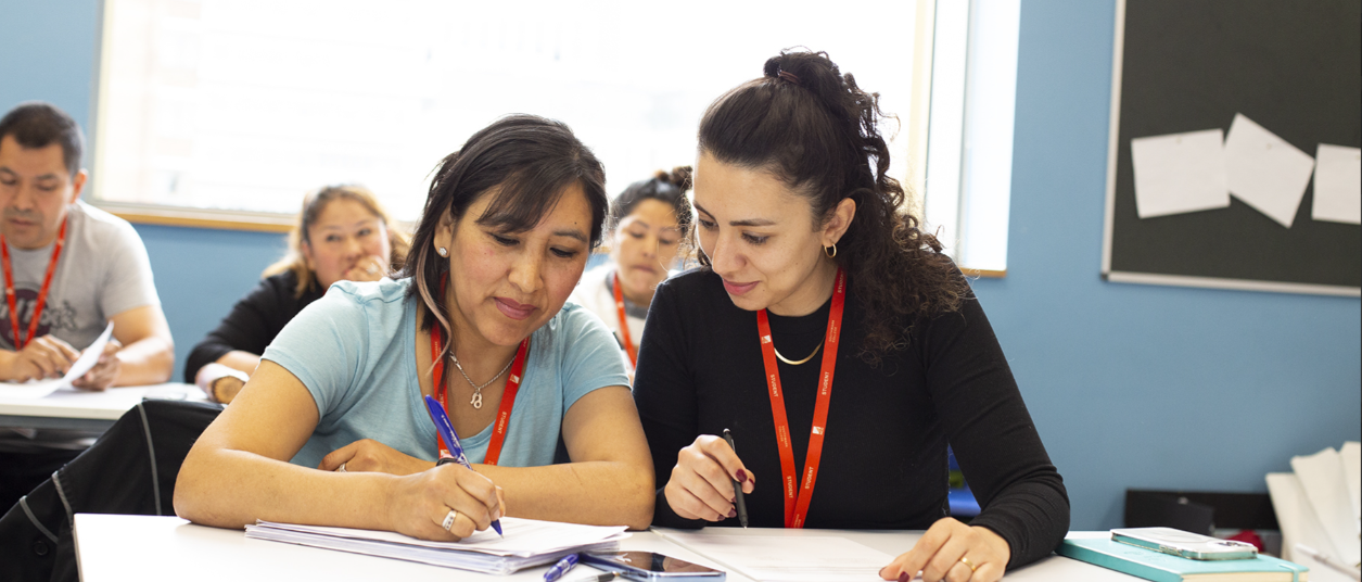 ESOL, English, Maths and IELTS Banner