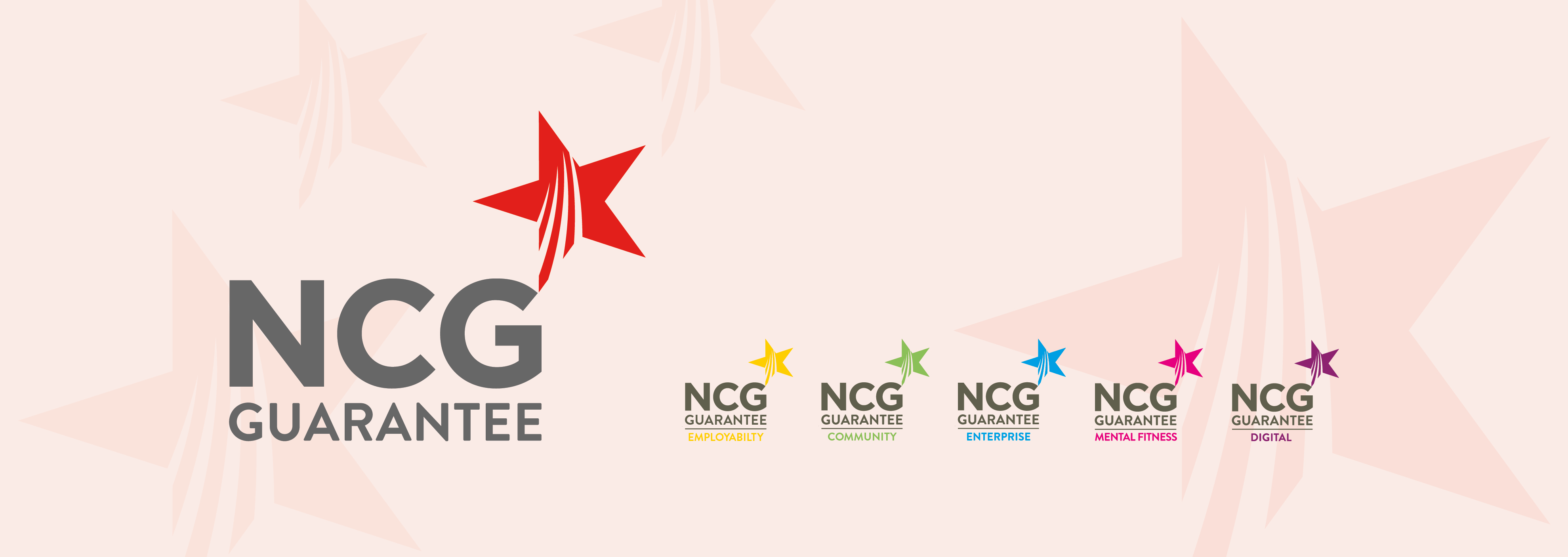 NCG Guarantee Banner