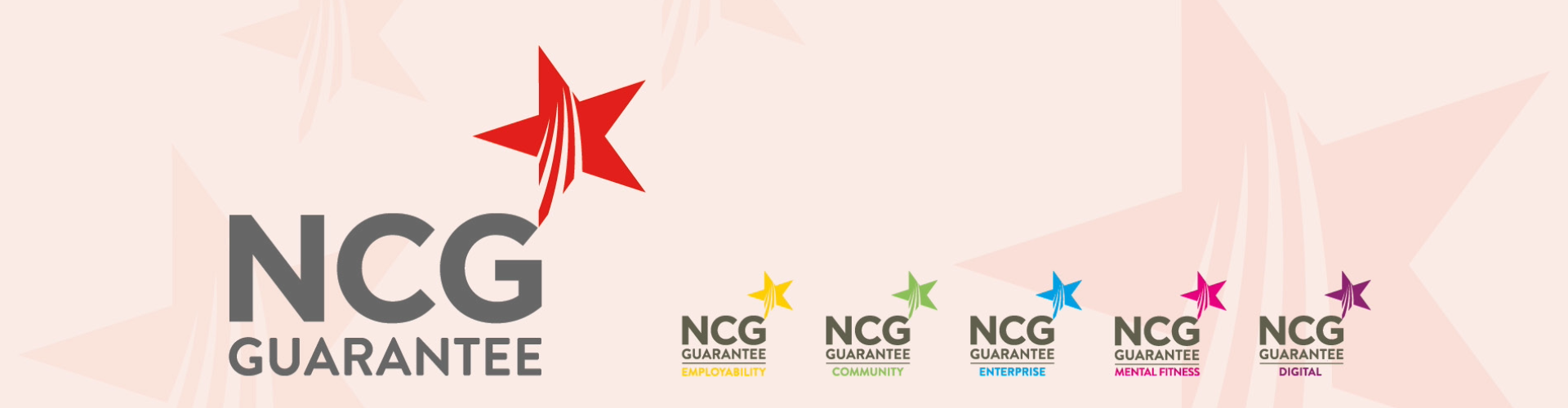 NCG Guarantee June 2025 Asset